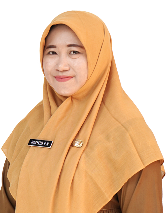 HIDAYATIN NUR WAKHIDHA, S.Si.